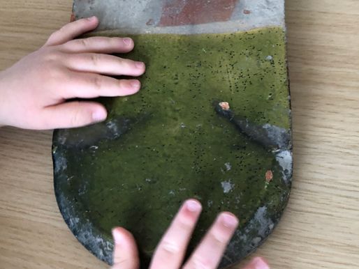 2025.10-atelier-petits-explorateurs.jpg