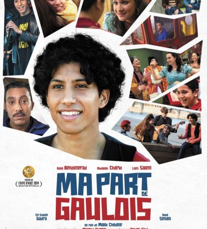 ma-part-de-gaulois.jpg