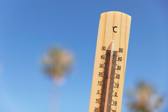 canicule-gros-plan-thermometre-indiquant-temperature-elevee-freepik.jpg