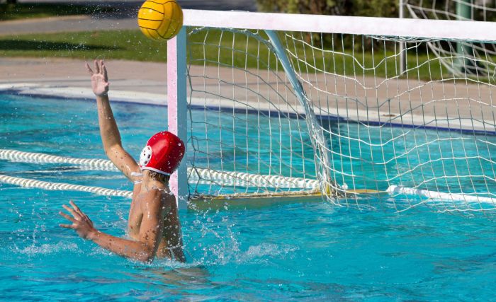 photo_water-polo.jpg