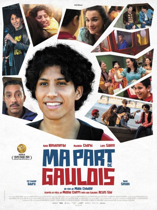 ma-part-de-gaulois.jpg